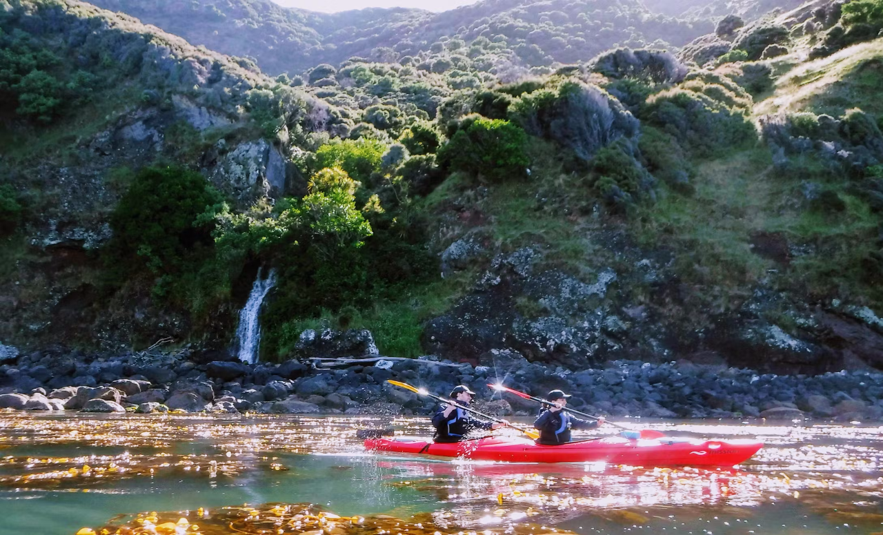 Akaroa Guided Kayaks - Small Group Tour - Photo 1 of 24
